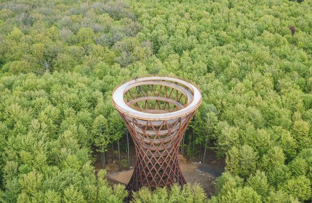 Full-day tour to Forest Tower and Forgotten Giants from Copenhagen