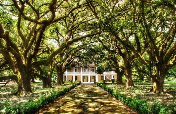 Whitney Plantation Tour