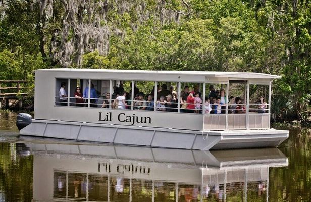 Guided Swamp and Bayou Boat Tour