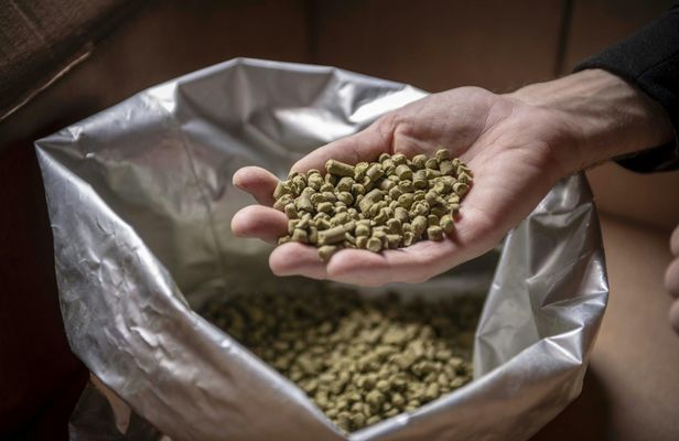 Brewery tour in Tenerife with 4 tastings