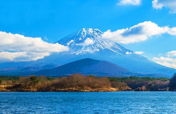 Fuji Lake Kawaguchi, Lake Yamanaka and Lake Sai Day Trip from Tokyo