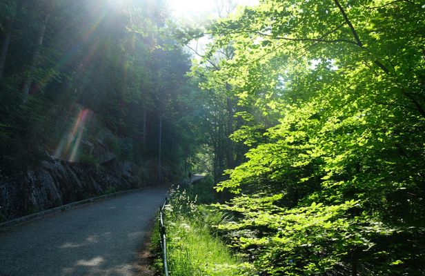 Small-group tour of Bergen with hiking and local history
