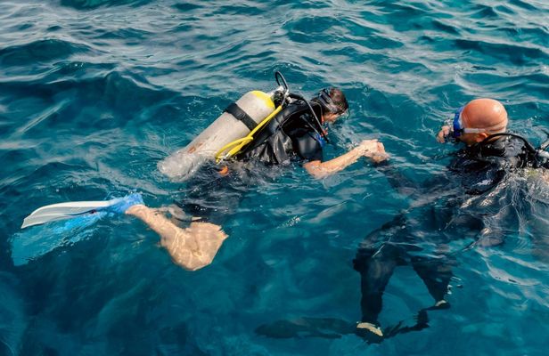 Diving lesson for beginners in Alghero