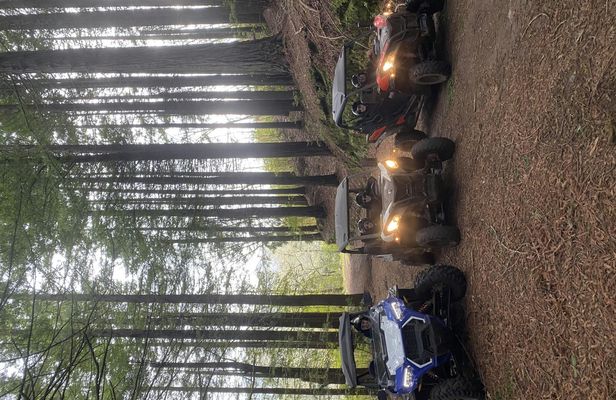 Private buggy off-road driving experience in Madeira
