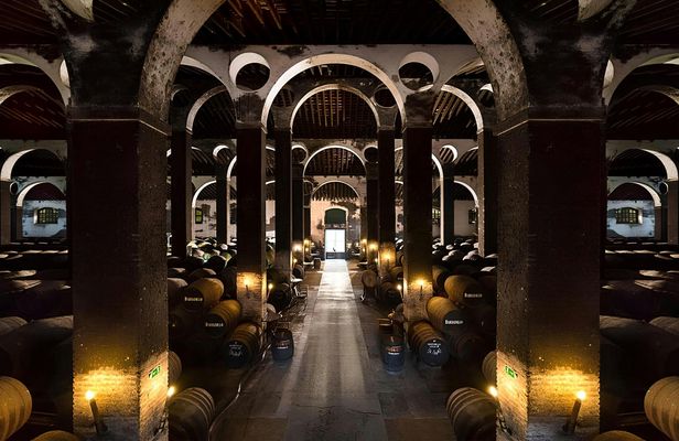 Winery tour with tasting of three wines in Sanlúcar