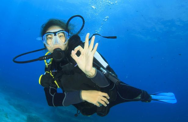 SSI basic diver course for aspiring certified divers
