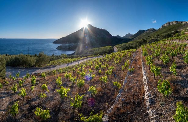 Wine tasting tour in Pelješac Peninsula and Ston visit
