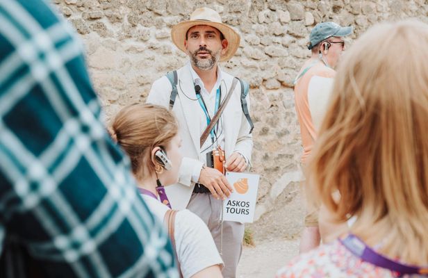 Pompeii and Herculaneum Small-Group Tour From Rome
