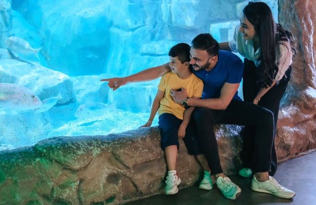 Barcelona city tour hop-on hop-off bus tickets with Aquarium