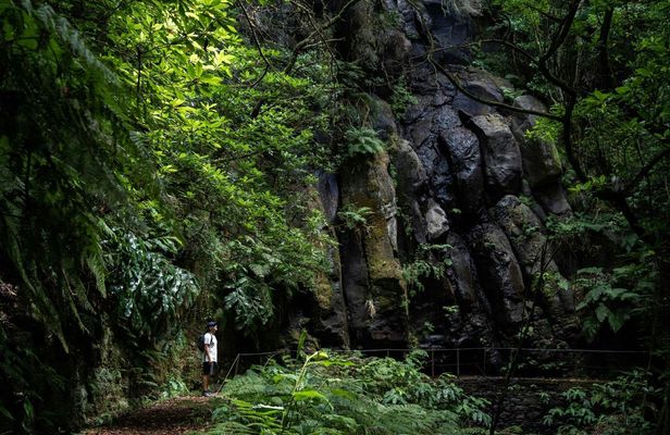Transfer to Levada do Caldeirão Verde with Pick-Up