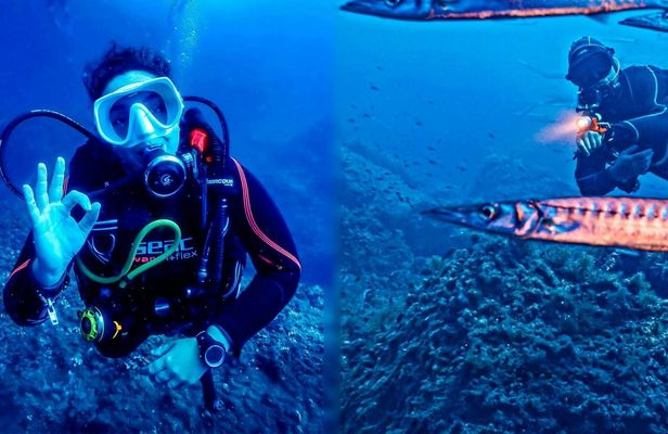 Scuba tour with two dives from Bonaire Harbour for certified divers