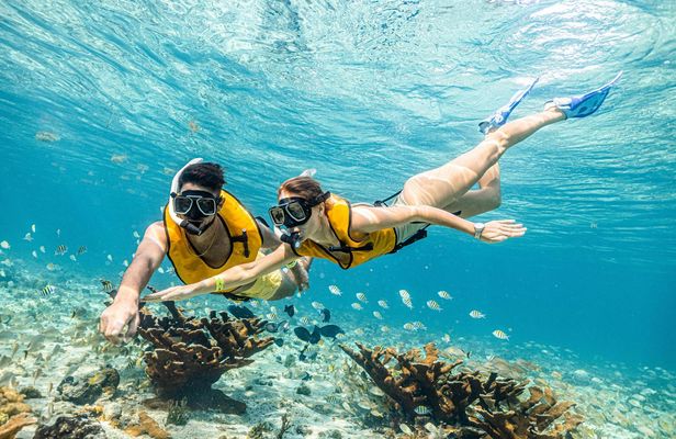 Snorkelling experience for non-swimmers in Cancun