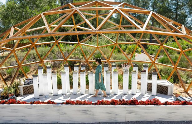 BiBo Park Ibiza's Biotech Botanical Garden tickets and guided tour