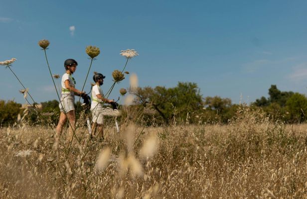 E-scooter tour through the countryside of North Mallorca