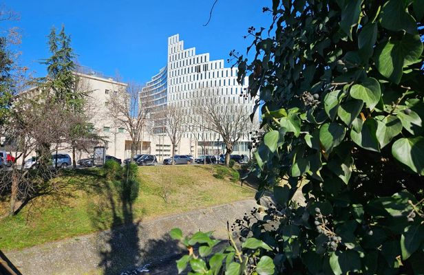 Day Excursion from Ohrid to Tirana