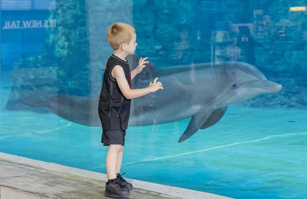 Clearwater Beach with transportation and aquarium