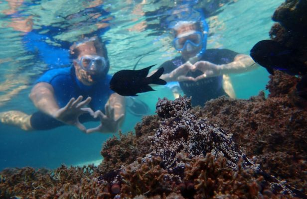 Snorkelling tour in Portugal