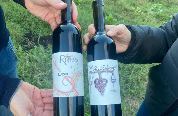 Wine experience in Piedmont