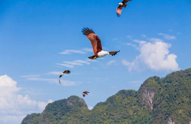 James Bond Island & Koh Panyi Island by Speedboat from Phuket