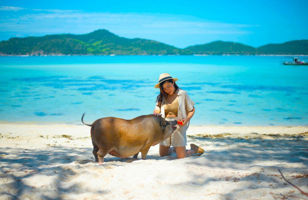 Private Half-Day Longtail Boat Tour to Koh Mat Sum from Koh Samui