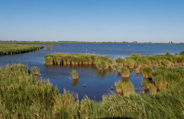 River cruise through the Ebro Delta river