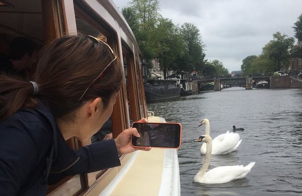 Amsterdam morning canal cruise