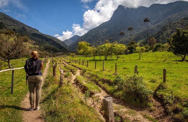 Hiking in Cocora Valley with 4x4 off-road experience