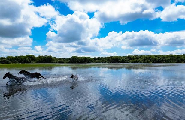 4-hour nature and wildlife guided tour in Sardinia