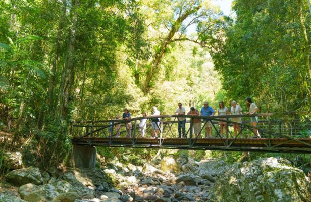 Gold Coast full-day adventure with wildlife spotting and lunch