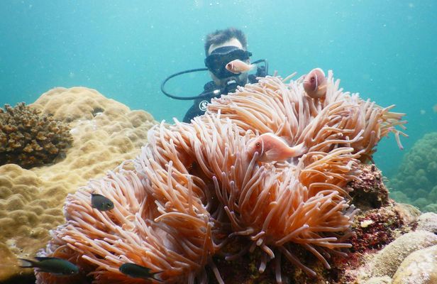 Southern Phu Quoc scuba diving experience