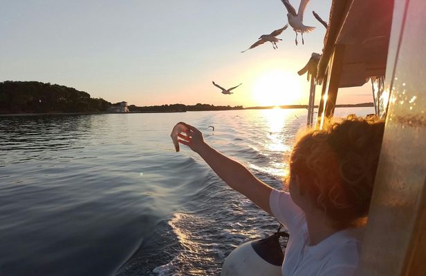 Sunset boat tour to Brijuni National Park with dolphin watching