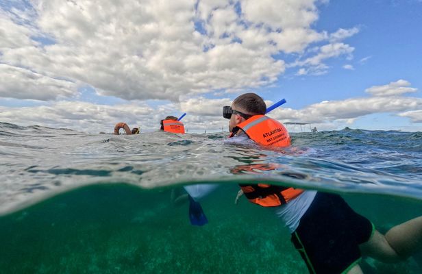 Guided Puerto Morelos Reef Snorkeling with Lunch from Cancun