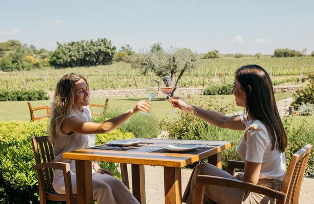 Familia Torres Winery Tour: Gastronomic & Wine Experience