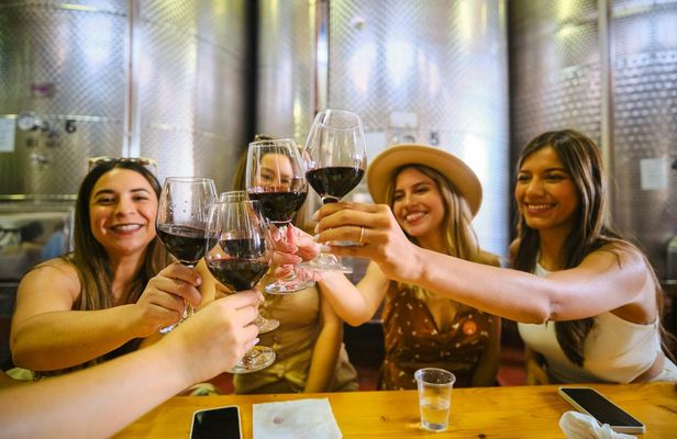 Italian wine tasting experience with expert guide in Florence