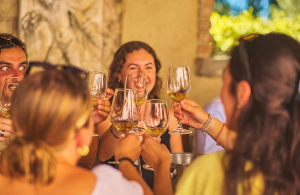 Guided wine tasting tour in Florence with a professional connoisseur
