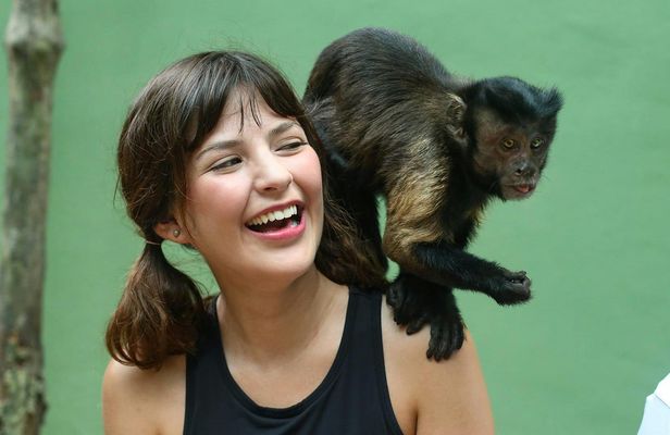 Akumal Monkey Sanctuary guided tour