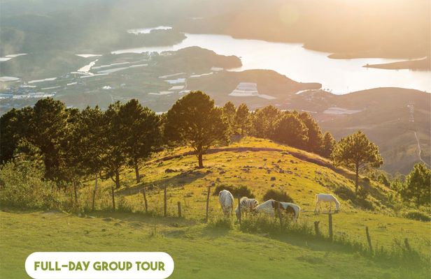 Full-day Da Lat City Guided Tour with Lunch