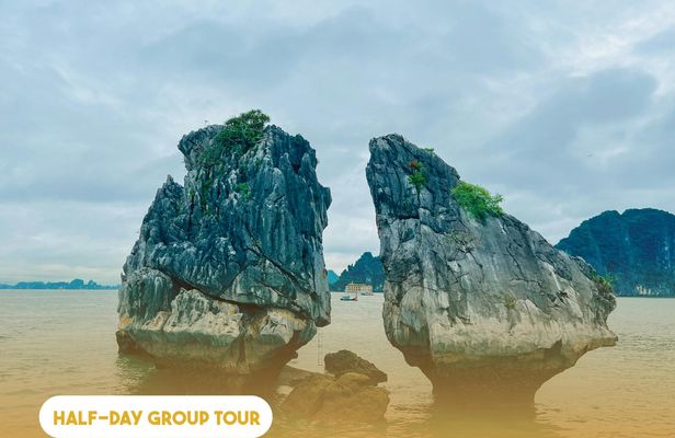 Ha Long Bay cruise and caves half-day tour from Ha Long