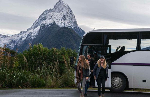 Milford Sound coach tour and day cruise experience