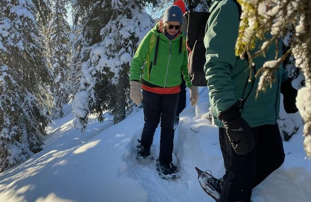 Soft snowshoe hike in the snowy landscape with local guide