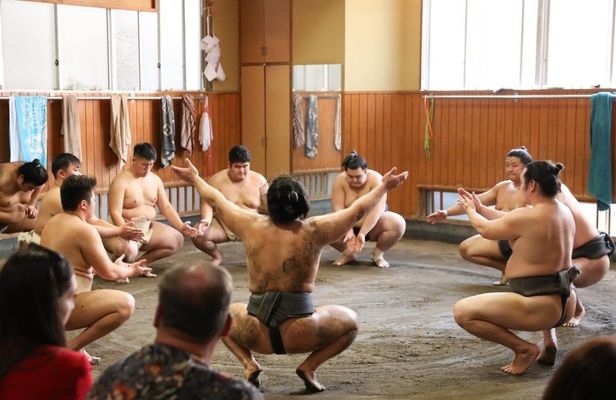 Sumo training observation tour with sumo journalist