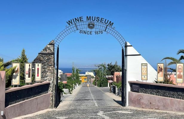 Santorini half-day family tour with wine museum visit