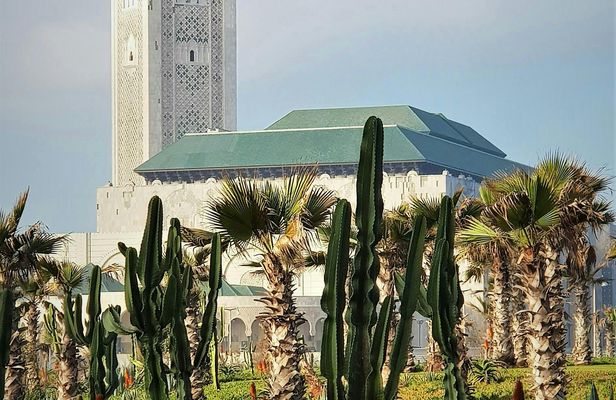 Casablanca Full-Day Trip from Marrakech
