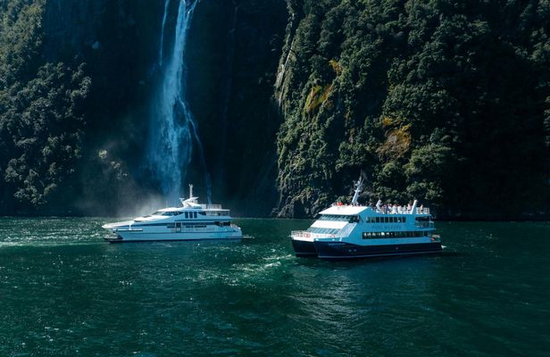 Milford Sound cruise experience