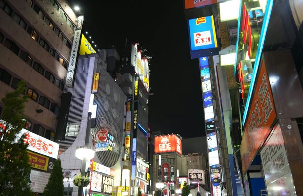 Tokyo Night Tour in Akihabara and Shibuya with Karaoke
