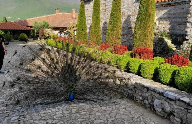 Guided day trip to Ohrid City and Lake from Skopje