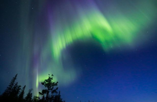 Northern lights tour in the dark from Sälen