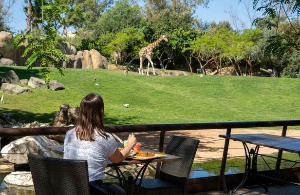 Entrance ticket to Bioparc Valencia