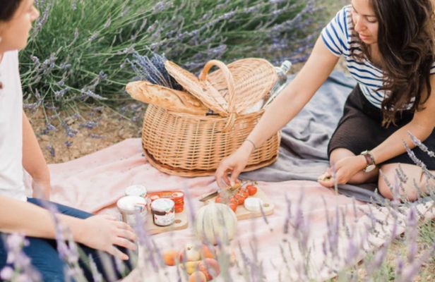 Snacking experience in lavender fields in Aix-en-Provence