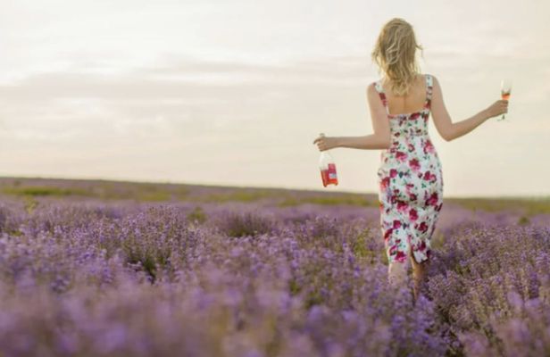 Lavender field self-guided tour with bottle of Rosé